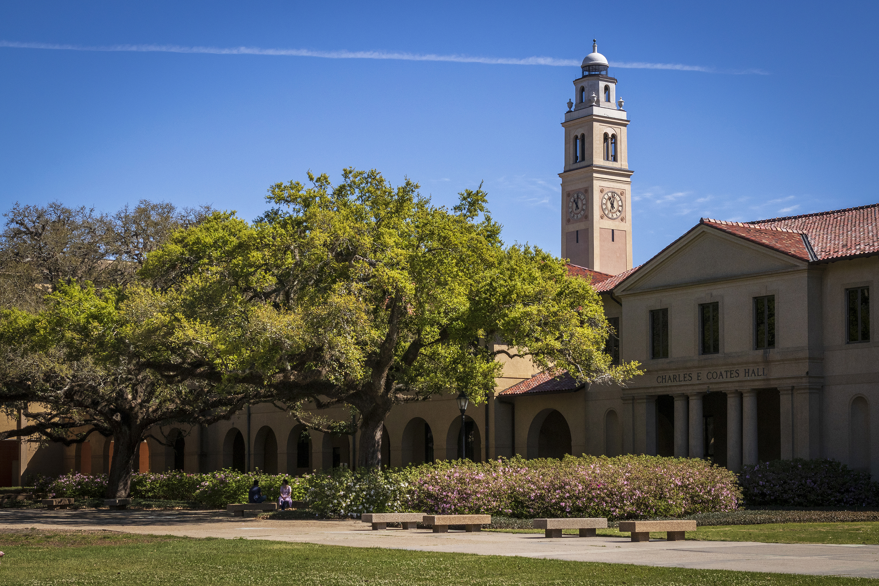 LSU