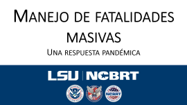Manejo De Fatalidades Masivas slide preview